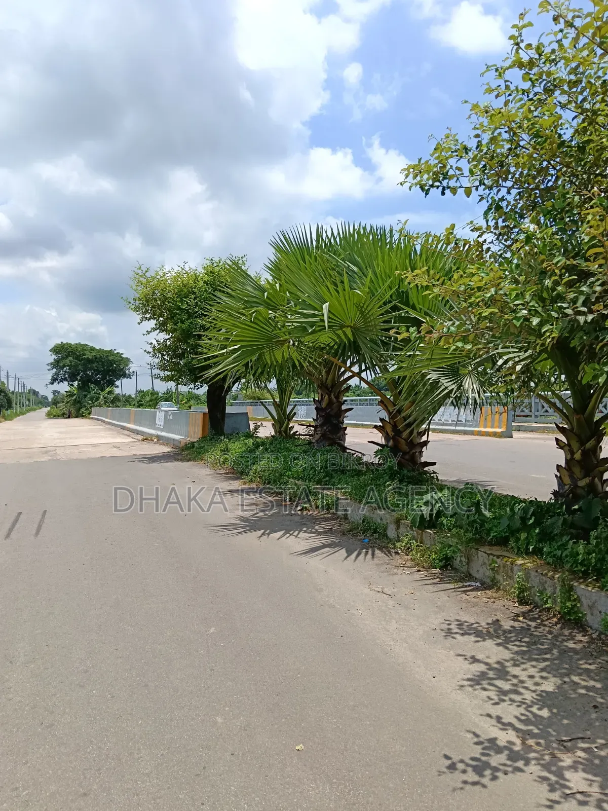 Sector-10, Road-100 Feet, 5 Katha Plot Sale