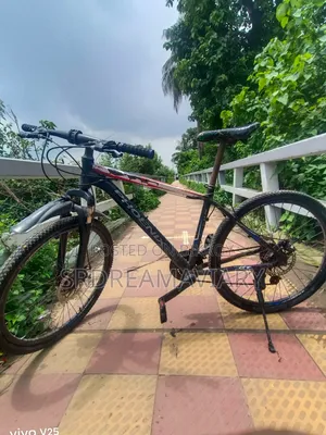 Phoenix Cycle