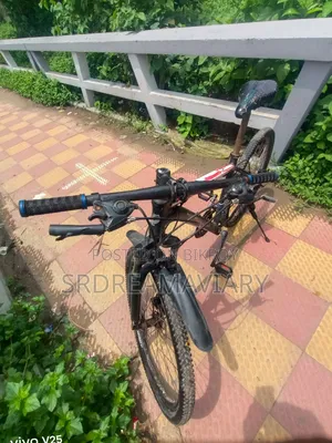 Phoenix Cycle