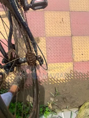 Phoenix Cycle