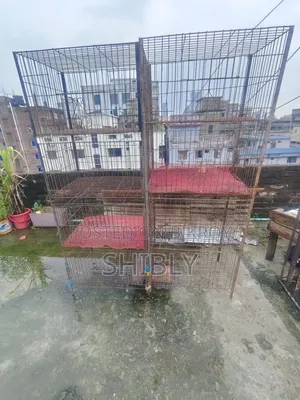 পাখির খাচা