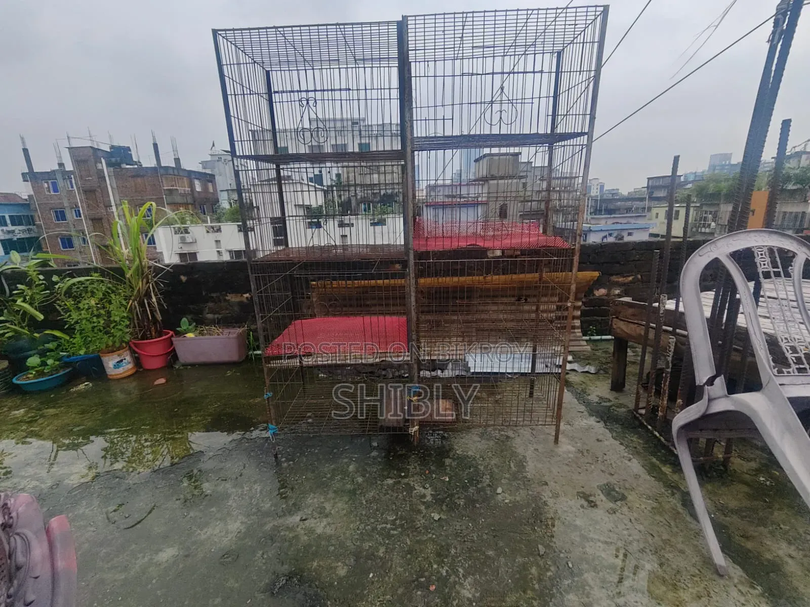 পাখির খাচা