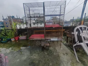 পাখির খাচা