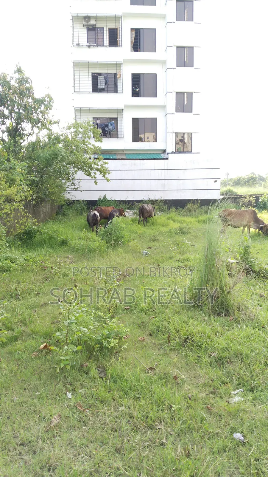 3 Katha (East facing, 60-foot road) Sector #17/J, Uttara