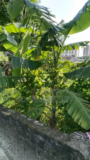 3 Katha (East-facing) Sector #17/H, Uttara