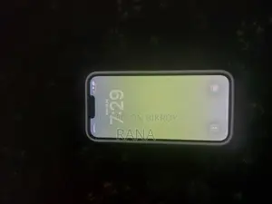 Apple iPhone 13 Pro Max 256 GB Green