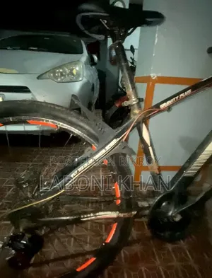 Modified Cycle