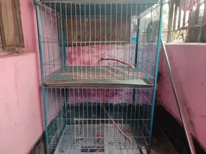২ তলা বিশিষ্ট খাঁচা (২ টি)