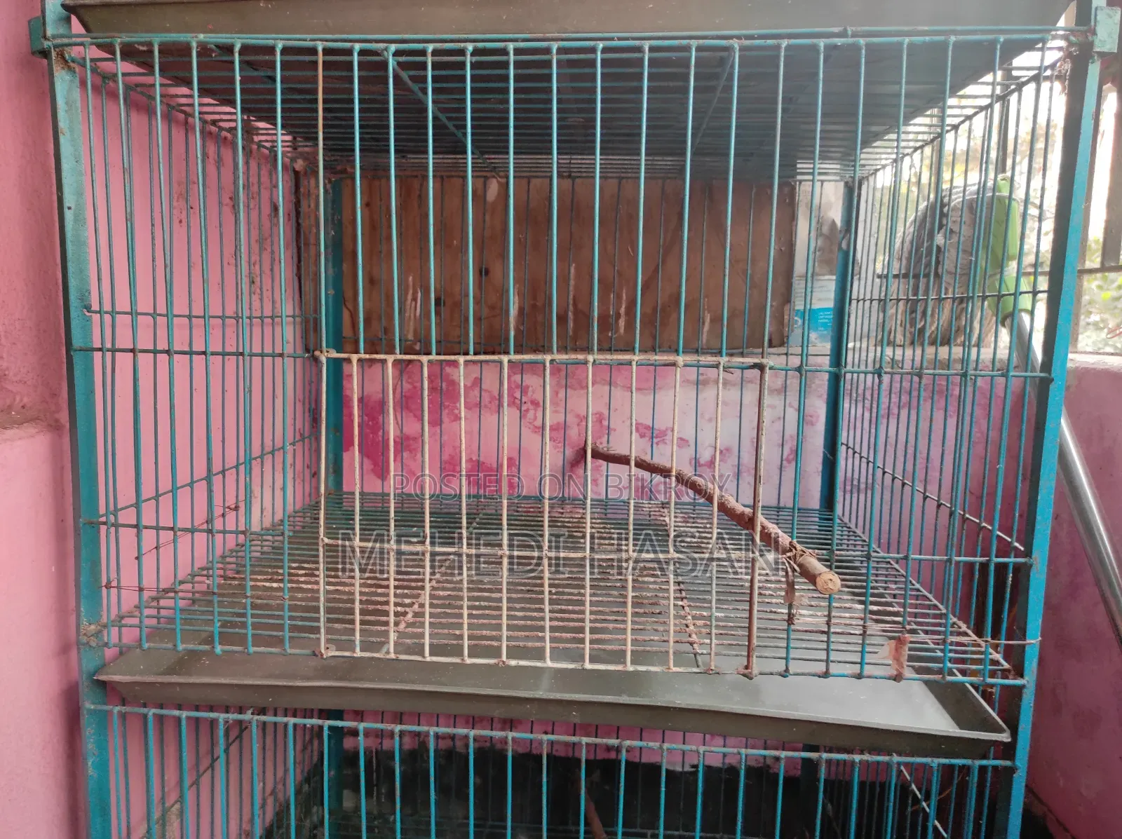 ২ তলা বিশিষ্ট খাঁচা (২ টি)