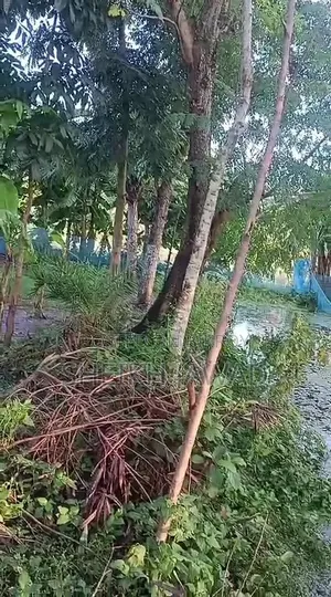 জমি বিক্রয় হইবে - ৬.৬ শতক (৪ কাঠা)। এখনি বাড়ি করার উপযোগী।