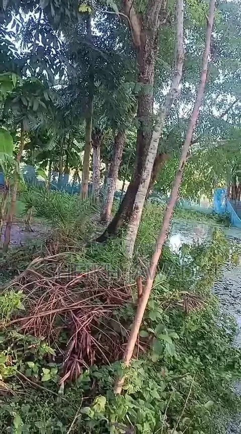 জমি বিক্রয় হইবে - ৬.৬ শতক (৪ কাঠা)। এখনি বাড়ি করার উপযোগী।