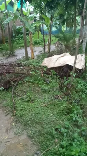 জমি বিক্রয় হইবে - ৬.৬ শতক (৪ কাঠা)। এখনি বাড়ি করার উপযোগী।