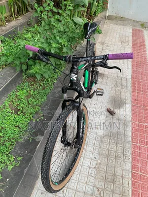 রিডিক ৩০০ ২৭.৫ সাইকেল