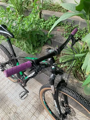 রিডিক ৩০০ ২৭.৫ সাইকেল