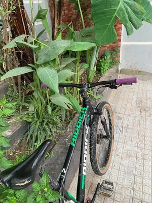 রিডিক ৩০০ ২৭.৫ সাইকেল