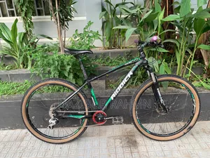 রিডিক ৩০০ ২৭.৫ সাইকেল