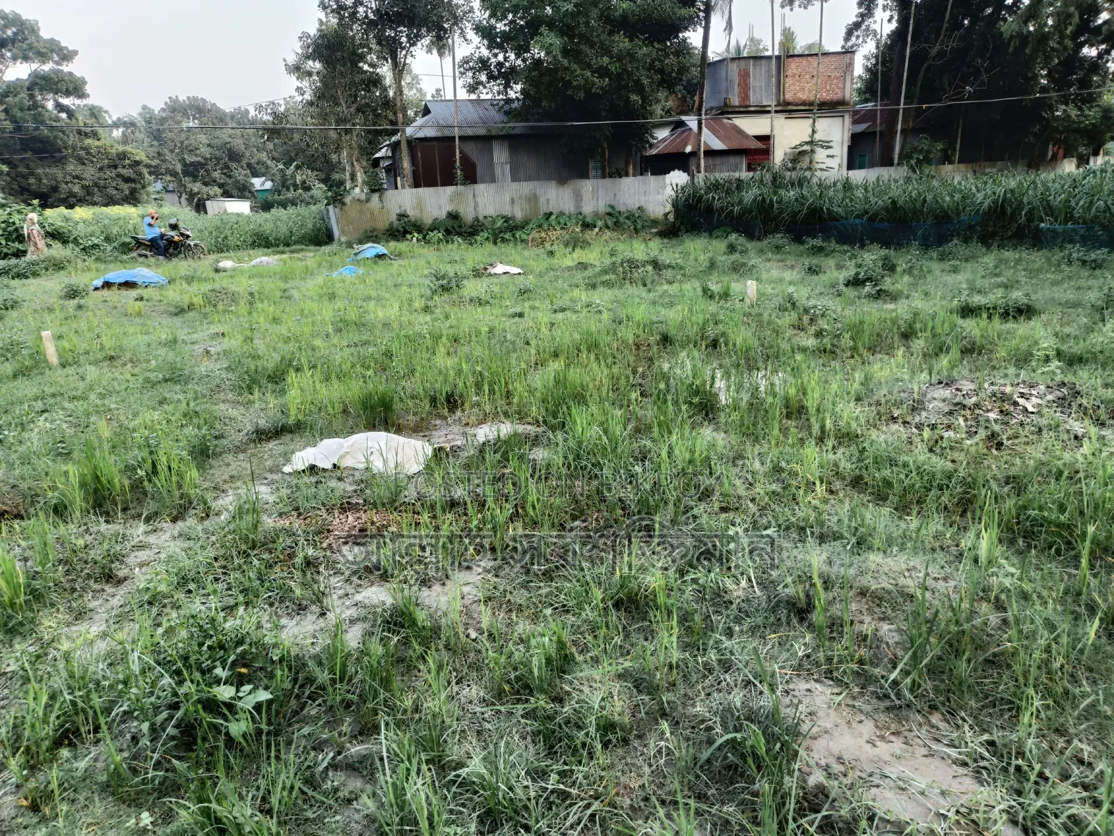 Land for sale in plot format