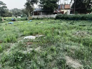 Land for sale in plot format