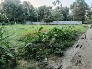 Land for sale in plot format