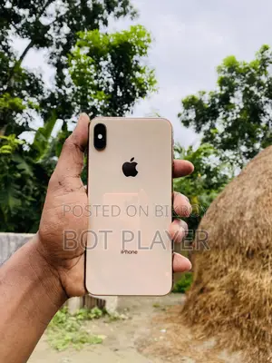 অ্যাপল আইফোন এক্সএস ম্যাক্স ৬৪ জিবি রোজ গোল্ড