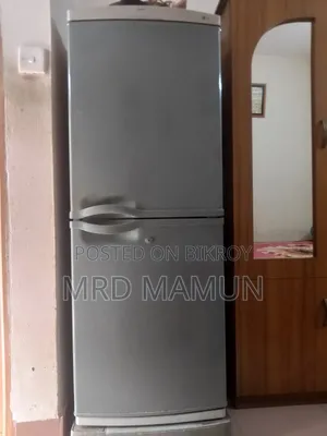 LG Butterfly Fridge