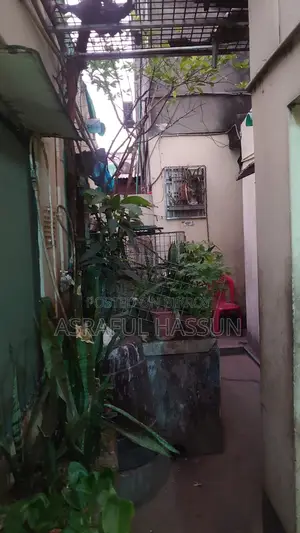 ব্যাচেলর/সিট রুম ভাড়া