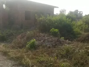 ৫ শতাংশ একটা জমি বিক্রি করা হবে