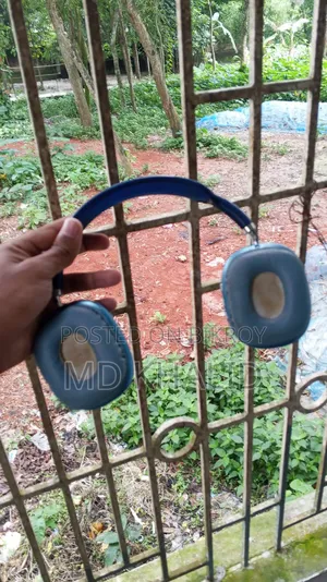 P9 Headphone