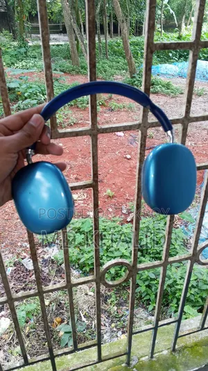 P9 Headphone