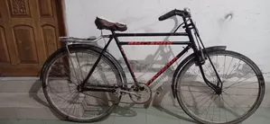 ফনিক্স সাইকেল ২৮ সাইজ