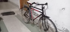 ফনিক্স সাইকেল ২৮ সাইজ