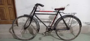 ফনিক্স সাইকেল ২৮ সাইজ