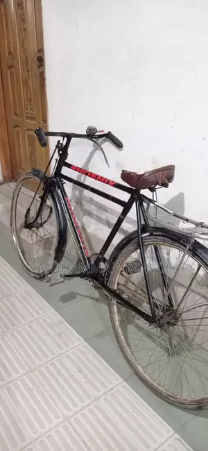 ফনিক্স সাইকেল ২৮ সাইজ