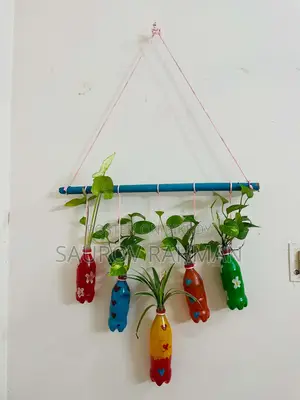 হ্যাংগিং প্ল্যান্টার