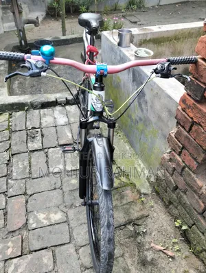 ফিনিক্স বাইসাইকেল