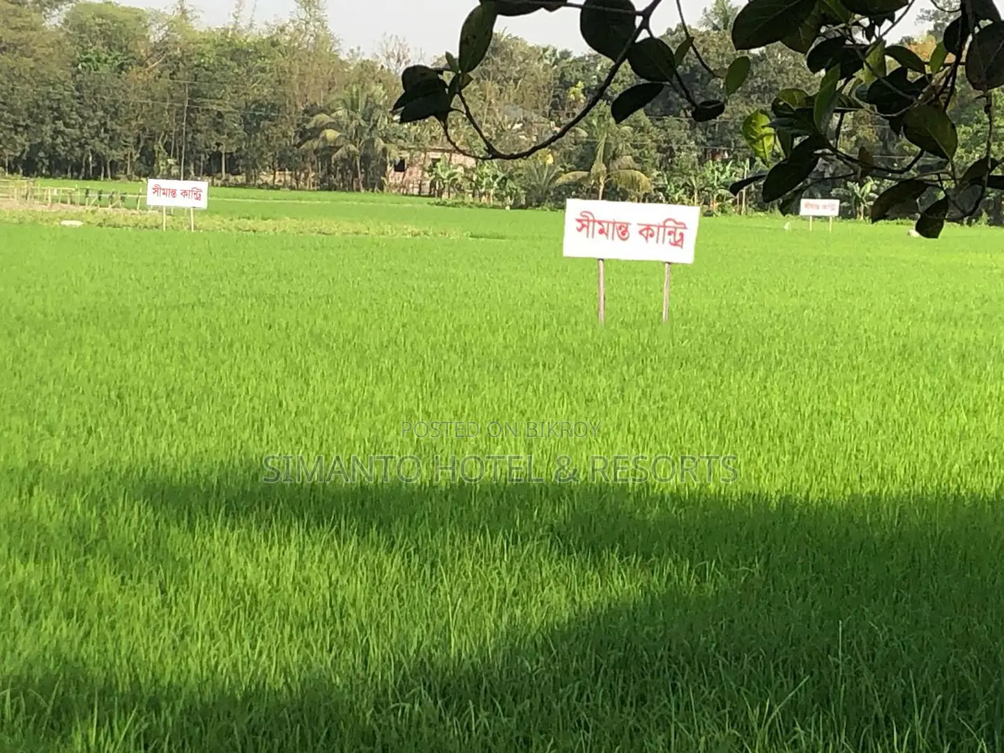 Premium Land for Sale
