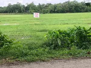 Premium Land for Sale