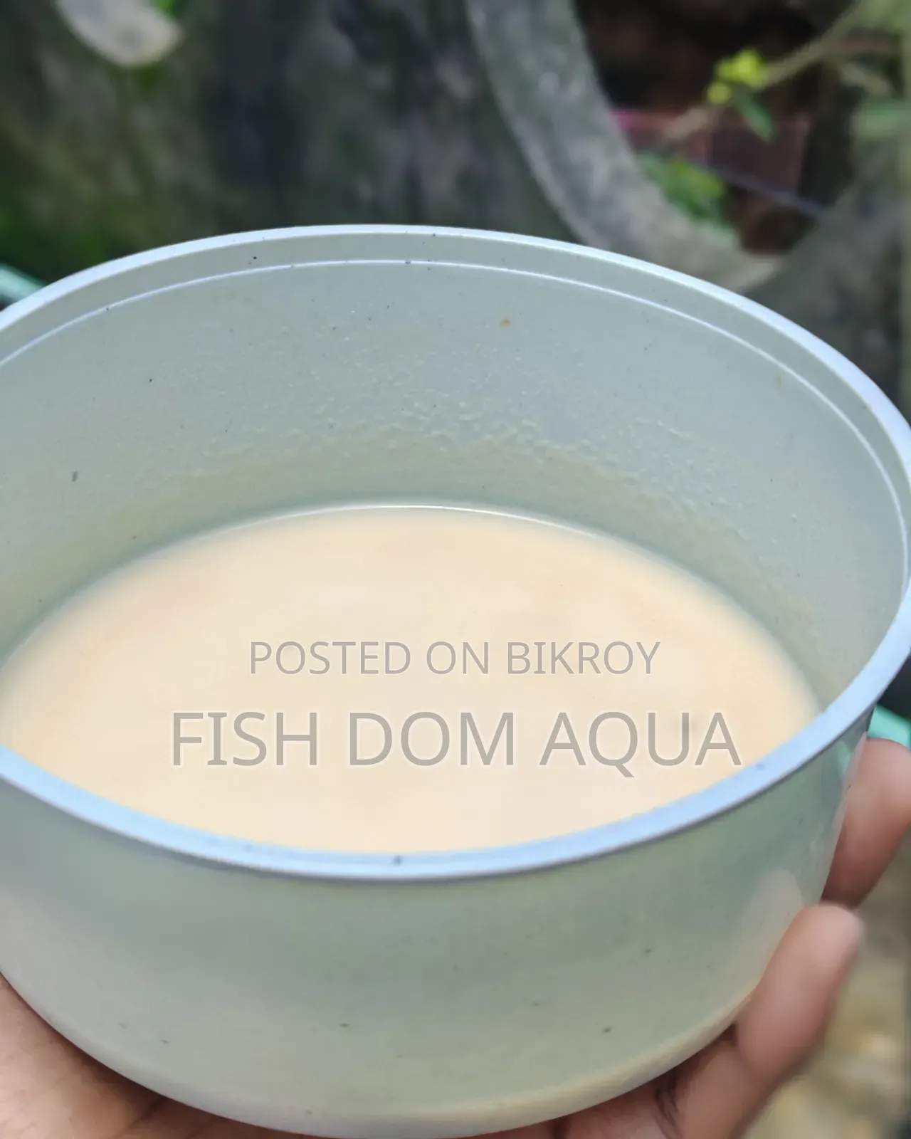 Micro Worm Live Fish Food