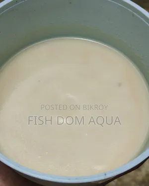 Micro Worm Live Fish Food