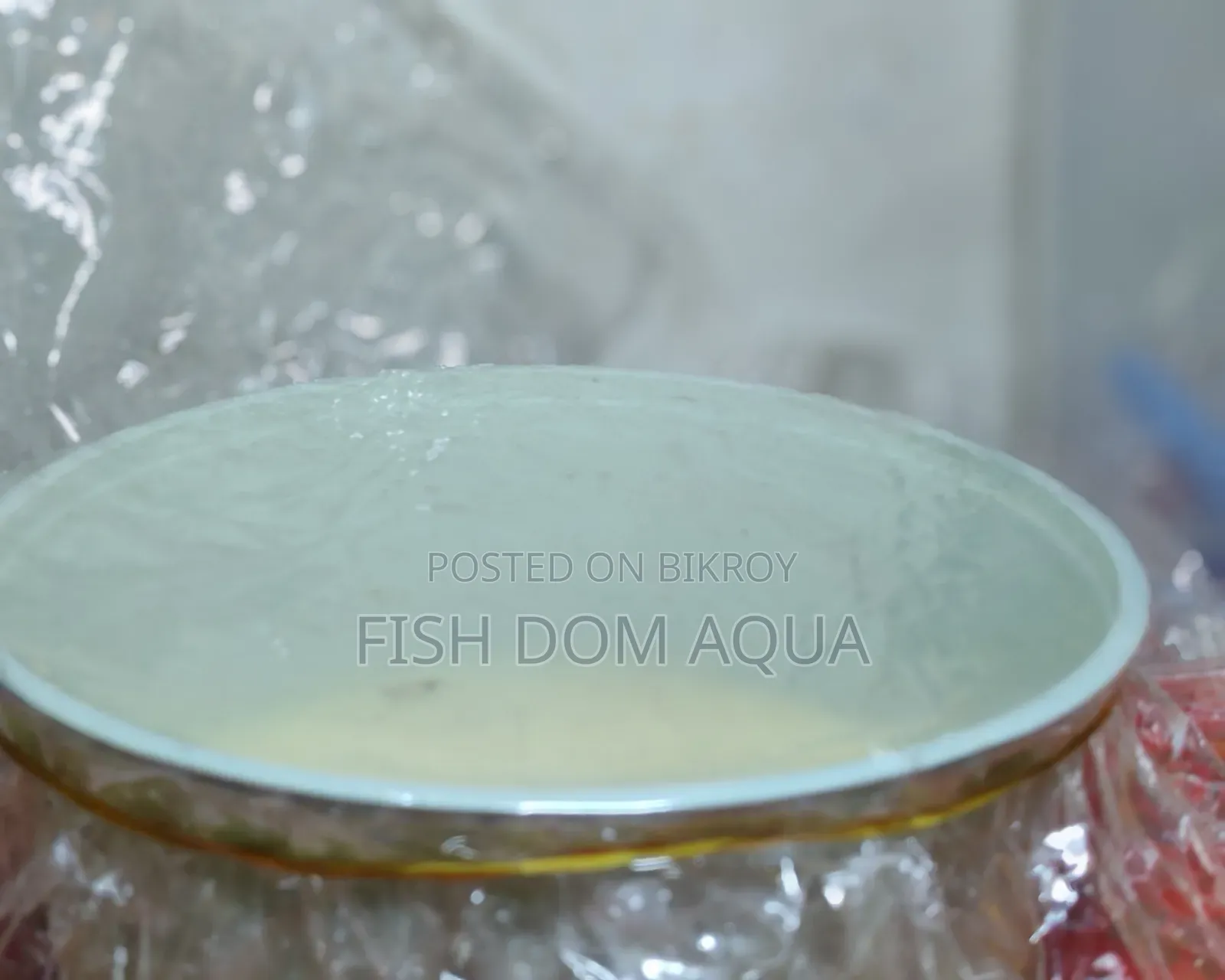 Micro Worm Live Fish Food