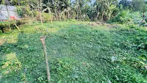 কম দামে বাড়ি করার মতো সন্দুর ৪ শতাংশ জায়গা