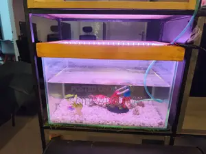 Beautiful Decorated Glass Aquarium With LED Light Accessories