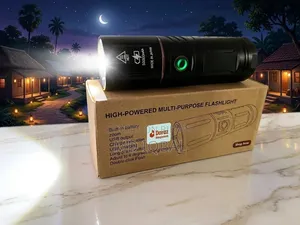 50000mAh Rechargeable LED Light With Power Bank | Made in Japan