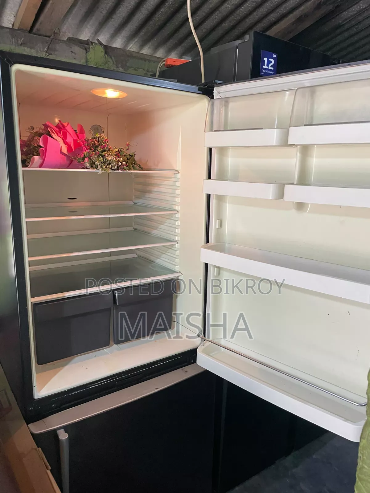 Fridge- Fisher & Paykel