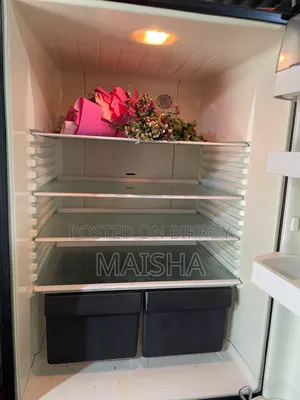 Fridge- Fisher & Paykel