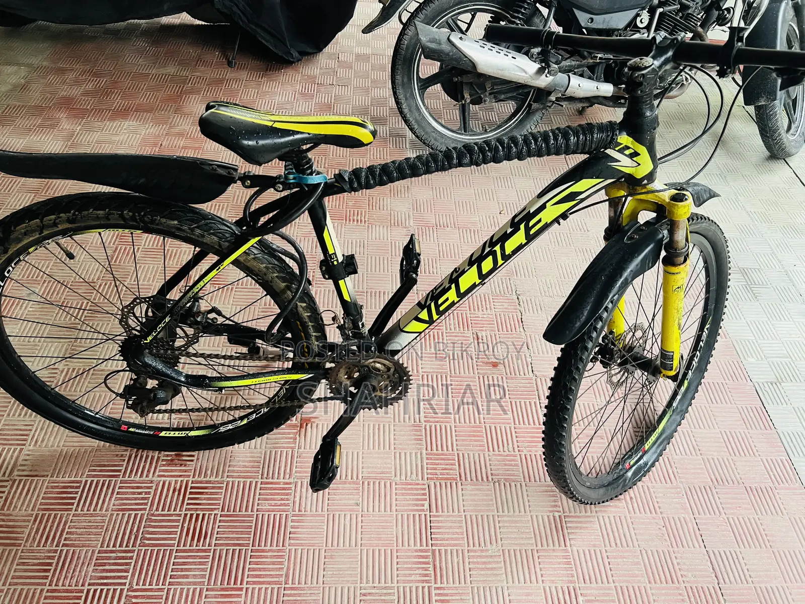 Veloce Cycle