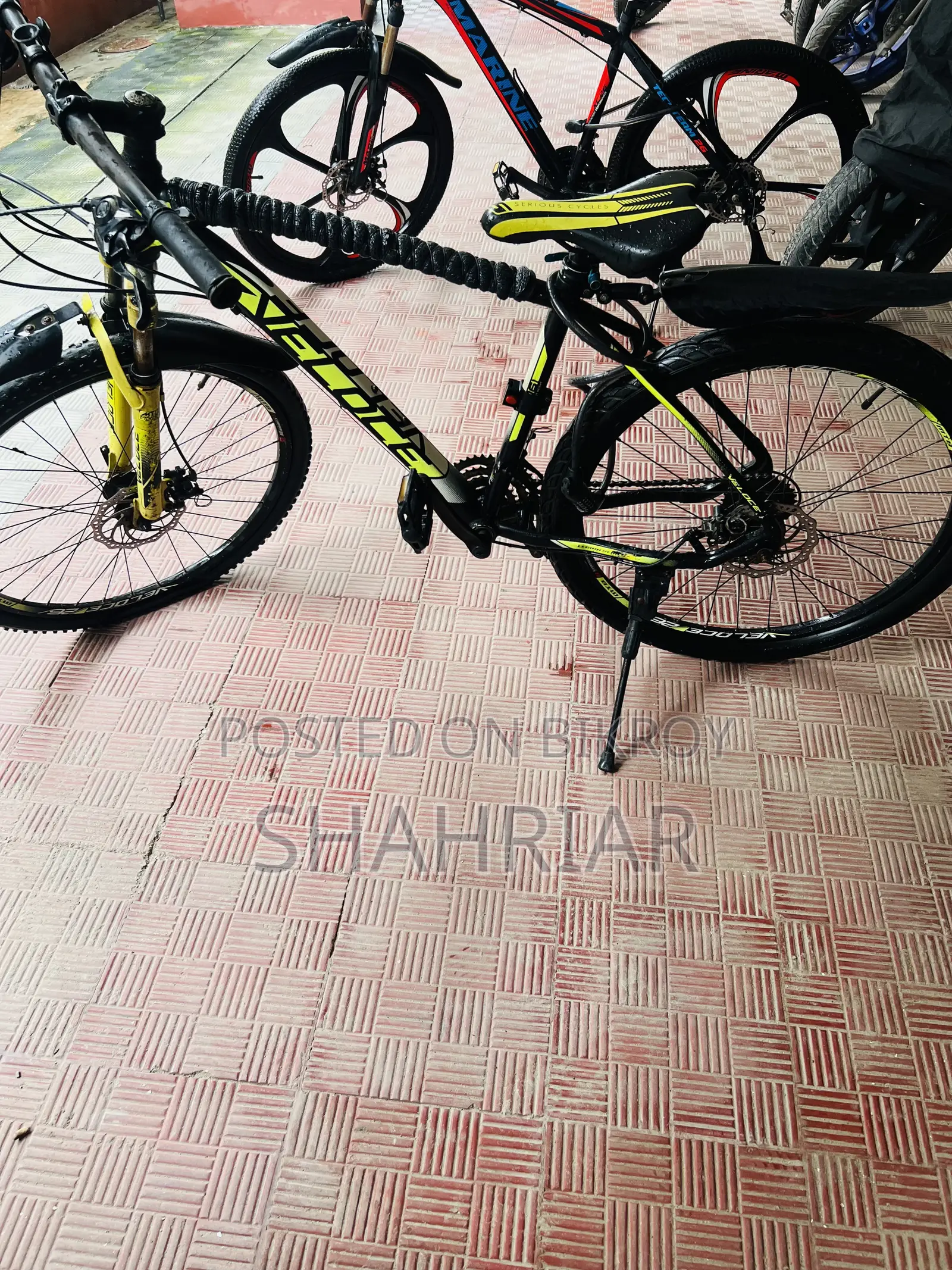 Veloce Cycle