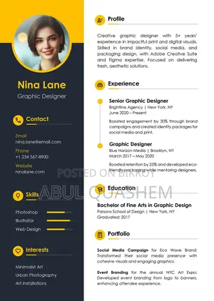 Europass, Professional and Customize CV