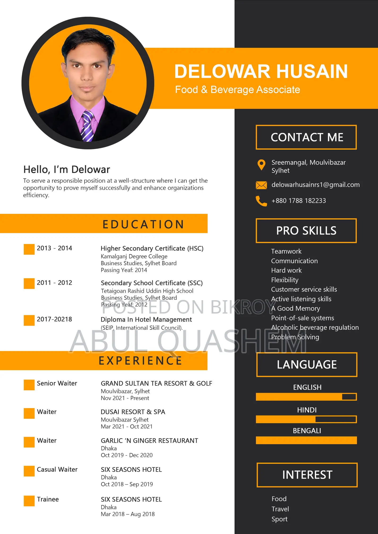 Europass, Professional and Customize CV