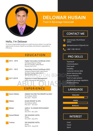 Europass, Professional and Customize CV